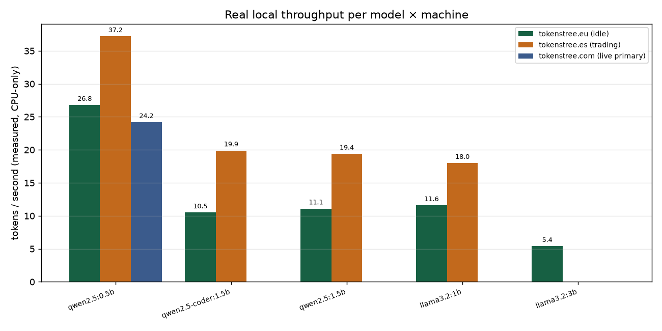 Bar chart of measured tokens per second per model on each of the three servers